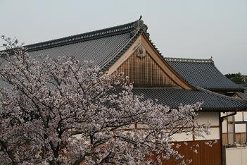 SSCyg's profile picture. 佐賀県に住むプログラマです。10年以上SES(顧客先常駐型のシステムエンジニア)として働いていました。その為、いろんな開発に携わって来ました。有名な商品やサービスの開発にも携わって来ましたが、今では、リモートでエンド向けのシステム開発を行なっています。