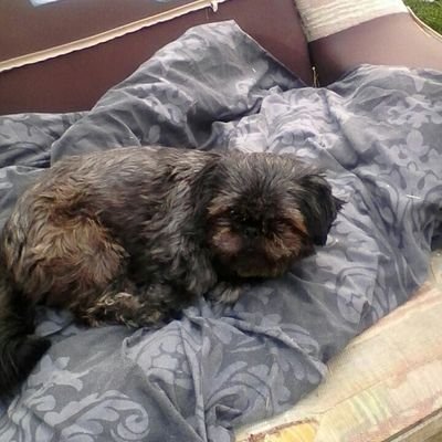 press40618797's profile picture. 