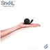 Snail (@chargersnail) Twitter profile photo Snail (@chargersnail) Twitter profile photo