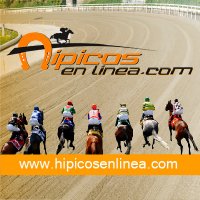 hipicosenlinea 🏇(@hipicosenlinea) 's Twitter Profile Photo