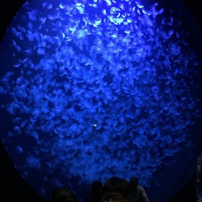 カラオケボックスよりスナックでのカラオケが大好き‼️ 楽しいことをつぶやきたいですが、たまに毒を吐きます(笑) 山形県鶴岡市在住