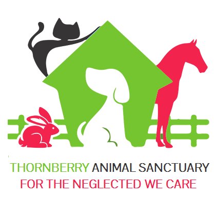 🐾Rescue & Rehome Sanctuary for dogs, cats, rabbits, horses & more!
Covering South & West Yorkshire, North Notts & NE Derbyshire.
Registered Charity: 1018048.