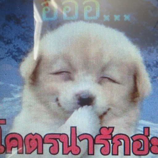 Tuyahanness1's profile picture. ทำงาน
