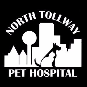 If you live in Dallas or the surrounding area and need a trusted veterinarian to care for your pets