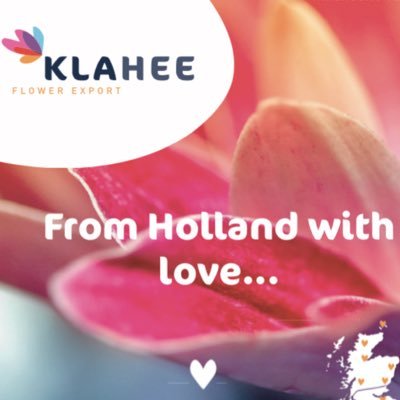 We are happy to advise you. Klahee is the supplier of fresh flowers and plants directly from holland for the entire UK, Germany and Austria.