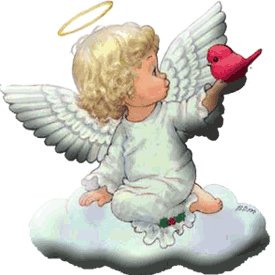LUISFRANJALOM99's profile picture. ENAMORADO DE LA VIDA, DESCANSADO DE PROFESION, AMANTE DE LAS DIVINAS MUJERES, Y YA VIEJO POR EXELENCIA