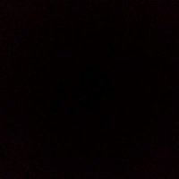 Chris Elle Will (@ellewillchris) 's Twitter Profile