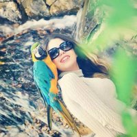 ☁ (@japandeniz) 's Twitter Profile