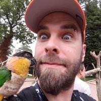 André Parnell(@wildlifeparnell) 's Twitter Profile Photo