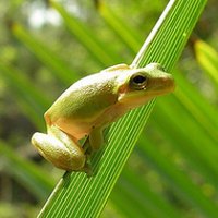 jere🦆my (@jere7my) 's Twitter Profile Photo