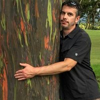 Dave Anderson (@dfahere) 's Twitter Profile