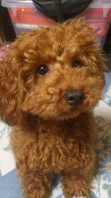 mousyou7's profile picture. ☆汝早く信仰の寸心を改め速やかに実乗の一善に帰せよ☆
『もうしょうくん』古代中国の偉人。師が本幹でのスピーチで引用されました。