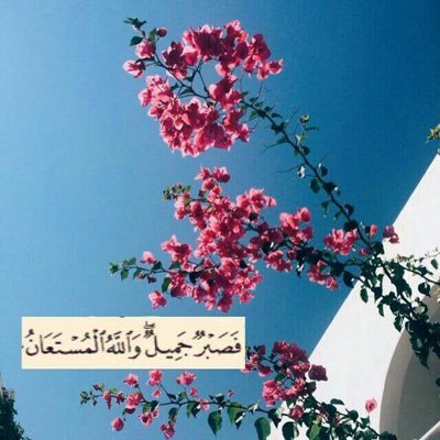 متحرر سالب للفحل مبادل ديوث مع الحنون