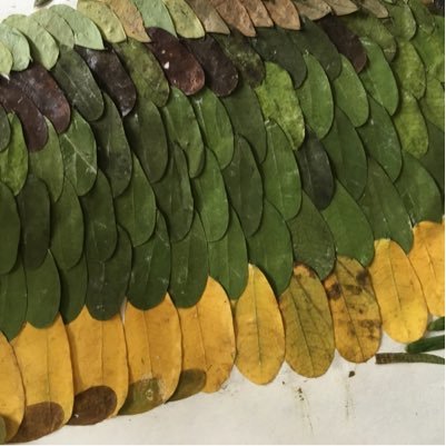 3344520lz's profile picture. 创意无限luoqi06@google.com