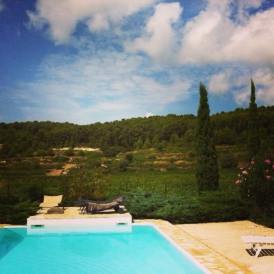 MartinDauce's profile picture. 