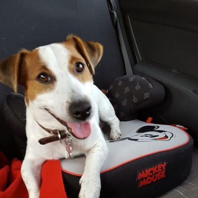 PoullainClaire's profile picture. 