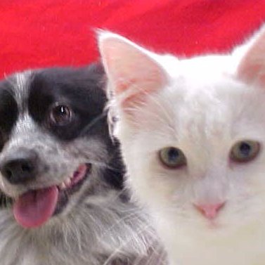 Panicbutton7's profile picture. 