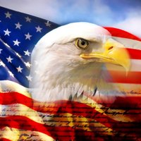 Constitutionalist (@seven_oaks_) 's Twitter Profile Photo Constitutionalist (@seven_oaks_) 's Twitter Profile Photo