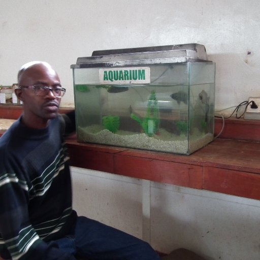 ChongoMulubwa's profile picture. 