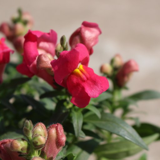 mahmudctgab27's profile picture. 