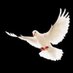 ساري الليل (@sarry_99) Twitter profile photo ساري الليل (@sarry_99) Twitter profile photo