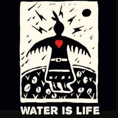 #TeamEarth because there is no planet B
#SocialContract #BasicIncome #Waterislife
#CimateChange #SustainableLiving