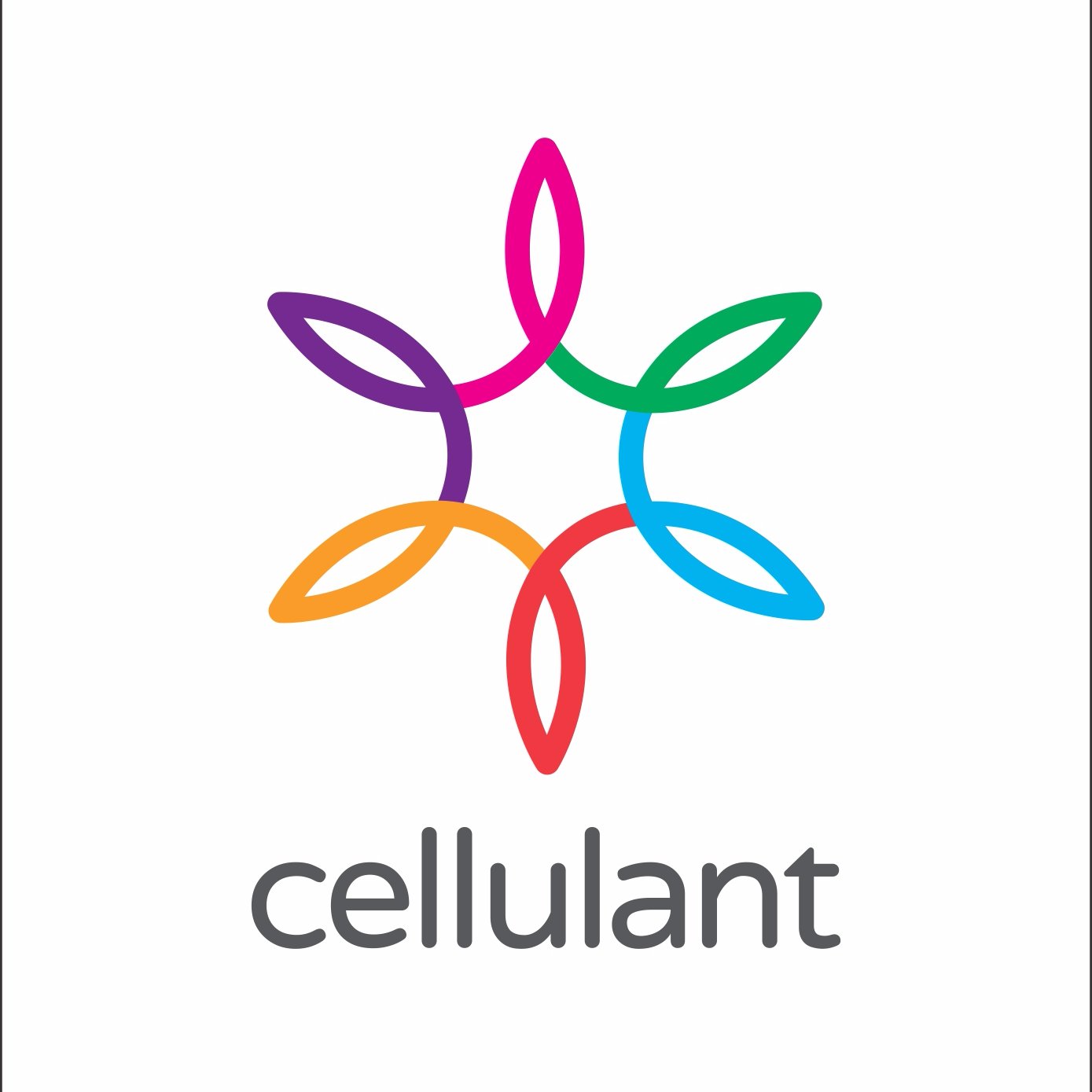 cellulantNG's profile picture. 