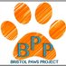 Bristol Paws Project (@pawsproject) Twitter profile photo Bristol Paws Project (@pawsproject) Twitter profile photo
