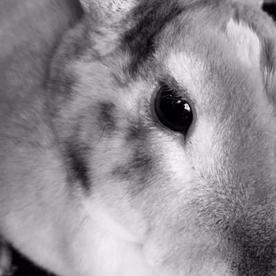 junkdinsk's profile picture. Love wondering, learning and teaching.