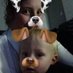 Annaliese (@annliese142002) Twitter profile photo Annaliese (@annliese142002) Twitter profile photo