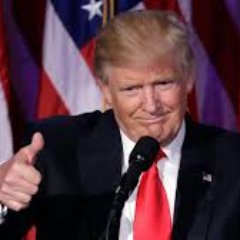 wordsoftrumpusa's profile picture. 
