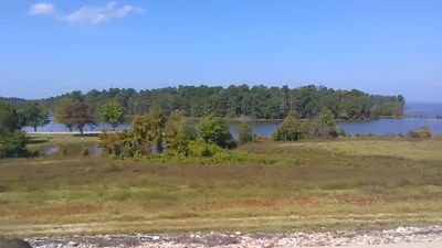 BobbieG77841113's profile picture. 