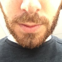 Ben Brintz (@brintzbe) 's Twitter Profile