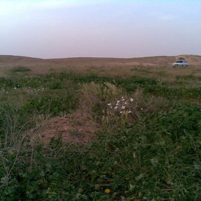 aboabdalah19701's profile picture. 