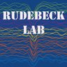 RudebeckLab's profile picture. Emotion and Cognition @Mount Sinai | Peter Rudebeck, Fred Stoll, Cat Elorette, Atsushi Fujimoto, Davide Folloni, Satoka Fujimoto, Megan Fredericks, Zach Zeisler