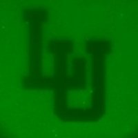 Wittenberg Lab (@wittenberglab) 's Twitter Profile