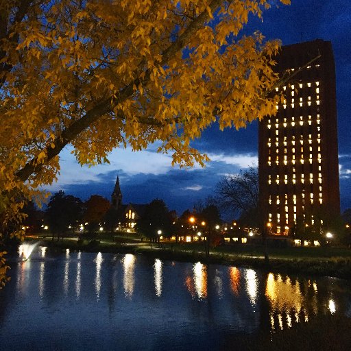 The official Twitter account of the UMass Amherst Libraries.