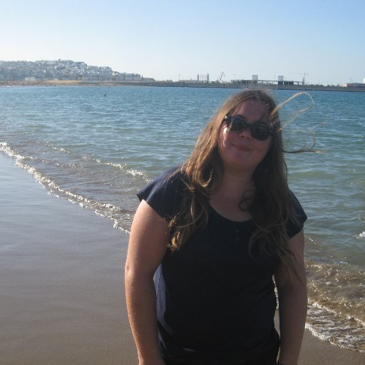 Just another IR scholar @CCPPySOCUCM | Terrorism, Security, (b)orders, MENA | Punk-rock listener
