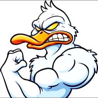 Shredded Ducks 7s(@Shreddedducks7s) 's Twitter Profileg