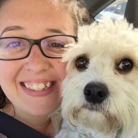 Sam Dartouzos (@sdartouzos) Twitter profile photo