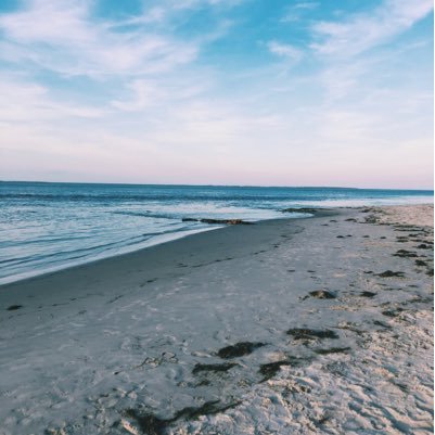 LauraLkk's profile picture. 