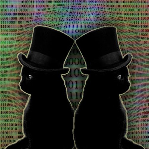 KittyCorpp's profile picture. This is KittyCorp, a hacking clan that was created to troll. we also accept offers and deal on who you or your friends want to ddos, take an account, or spam.