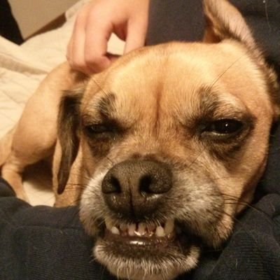 phunkonomics's profile picture. Perpetually Bewildered ⭕🎈