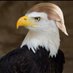 Conservative Patriot (@usacit1970) Twitter profile photo Conservative Patriot (@usacit1970) Twitter profile photo