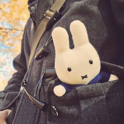 cometexe's profile picture. おもちゃ大好き限界玩具オタク。たまに感想をアップする