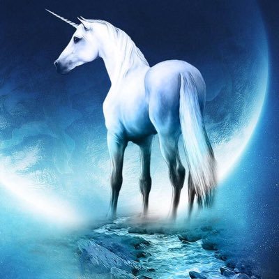 puppy025's profile picture. 