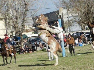 Soy como todos, lo mio es el cavallo