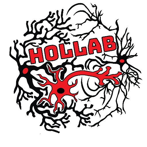 hollab