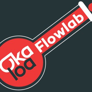 Okaloa Flowlab - business simulations to experiment with different ways of working and experience the impact on Enterprise Flow & Organisational Autonomy