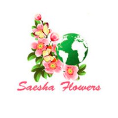 Order fresh flowers, roses, tulips, lilies for birthday, anniversary, sympathy and more. Bye Affordable Cost with 100% Satisfaction.